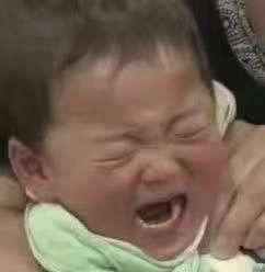 2月1日热门表情包原图合集