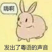 这套带粤语台词的兔子表情包，斗图太带感了