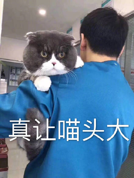 末的热门无水印表情包合集来啦