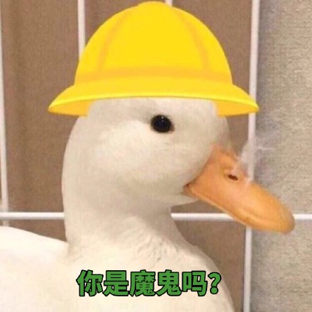 今天的斗图表情包原图来啦！