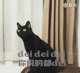 超有意思的长颈黑猫沙雕表情包合集