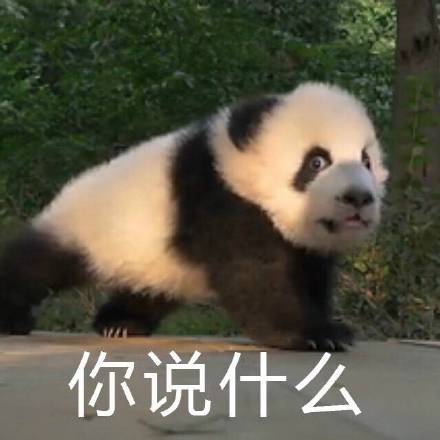 快收下这套熊猫头表情包！
