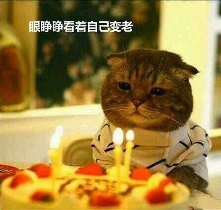 朋友生日必备！这套表情包既能要礼物又能整活