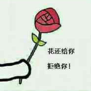 递花被当场退还还放狠话？这套表白表情包真的扎心了