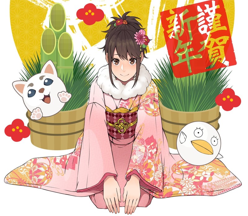 银魂女主志村妙高清壁纸合集