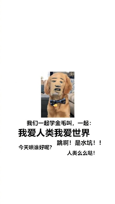 汪星人整活合集：跟着主人学叫的沙雕表情包来啦