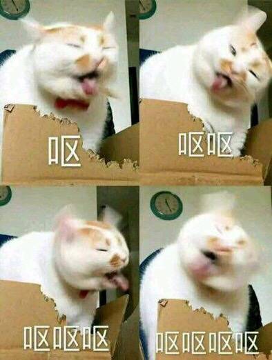 收藏这组！斗图再也没输过的表情包合集