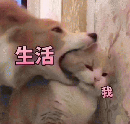 打工人看完直接破防！这套“这就是生活与我”表情包太真实了