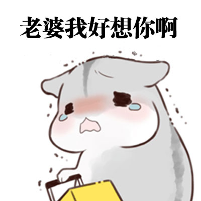 想找会道歉的老公表情包？这套合集太戳人了