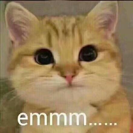 这套猫咪表情包太上头！爱吸猫的快存