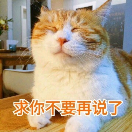 谁懂啊！这组猫咪表情包萌到心化