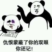 用来怼人的熊猫头记仇表情包合集
