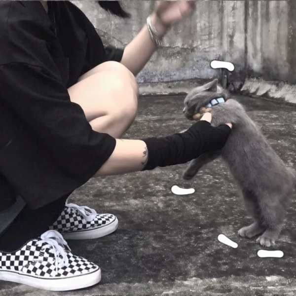 抱着猫不露脸的侧面女生头像 14张高清最新图