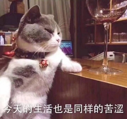 聊天斗图别愁！这份表情包合集快收好