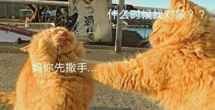 3月3日斗图表情包精选合集