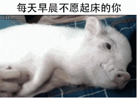 这篇内容是表情包分享网站的页面，并非传统新闻稿，我将按照要求重写呈现：