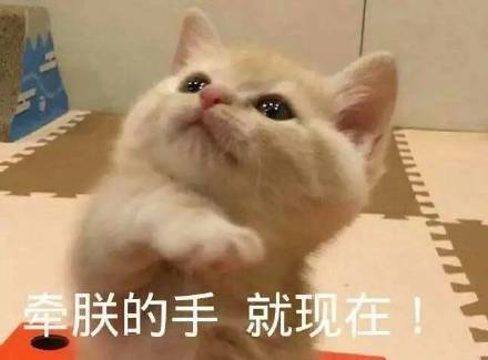 这组软萌表情包，看完心都化了