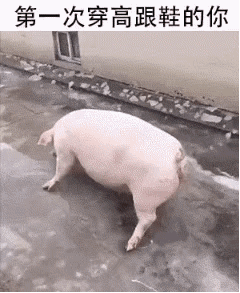 这篇内容是表情包分享网站的页面，并非传统新闻稿，我将按照要求重写呈现：