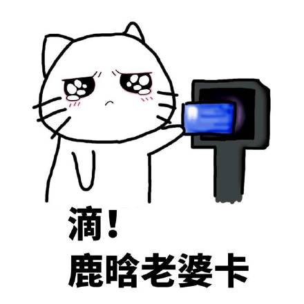 滴！老婆卡表情包来啦
