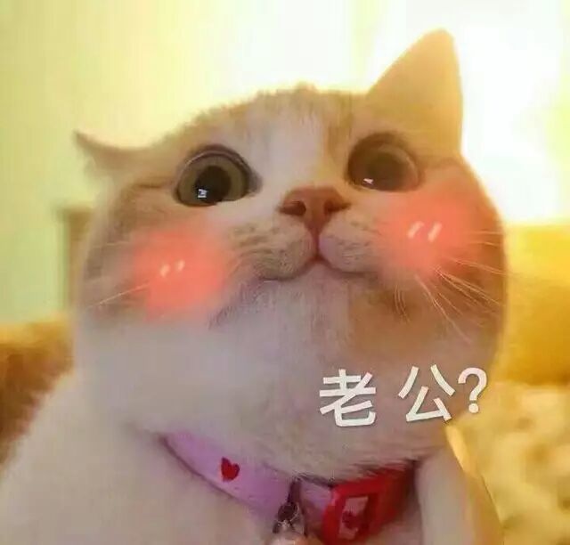 情侣互动表情包：老公，不举高高么