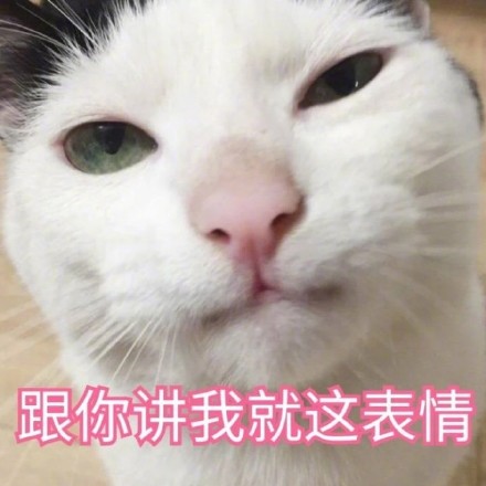 谁懂啊！这套猫咪表情包真的看一次爱一次