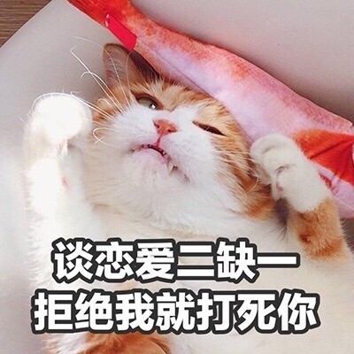 喵星人可爱表情包合集，快进来吸猫