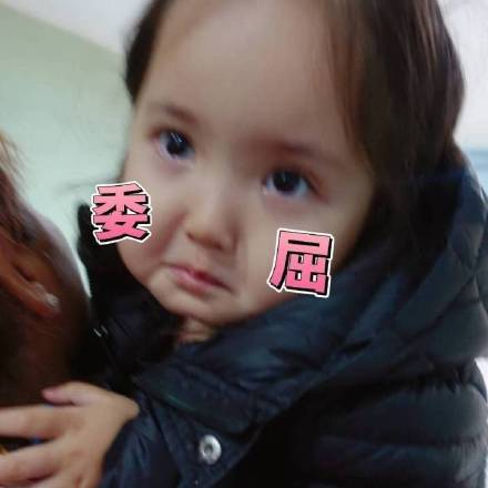 11月21日热门表情包合集整理