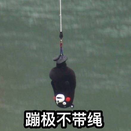 七夕有人跟你告白？这套熊本熊表情包帮你接招