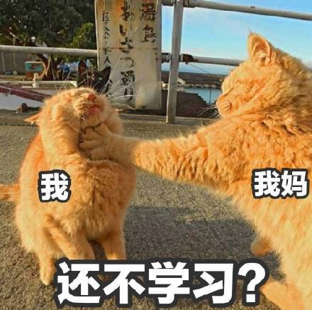 放假宅家被妈妈念叨的日常表情包