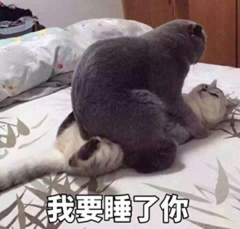 末的热门无水印表情包合集来啦