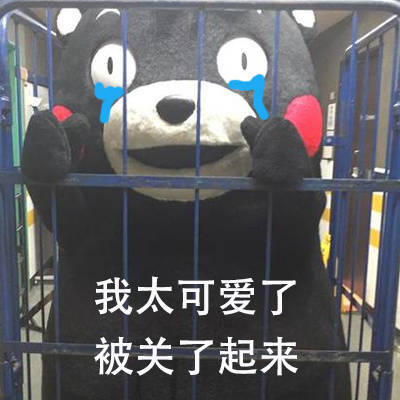 熊本熊被关起来啦 这套表情包太有意思了