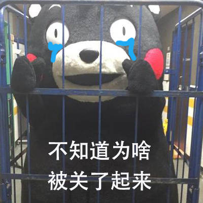 熊本熊被关起来啦 这套表情包太有意思了