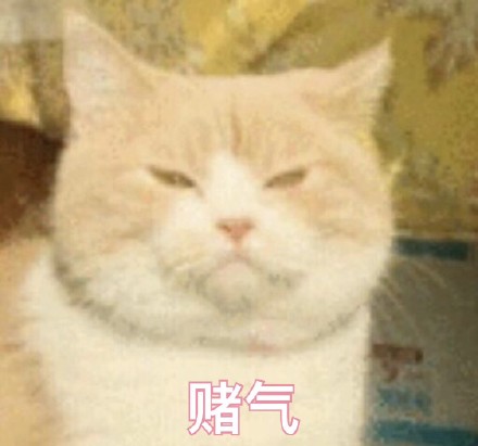 铲屎官集合！软萌猫咪表情包来啦，快一起吸猫