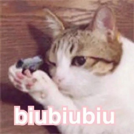 猫咪射击三连表情包来啦