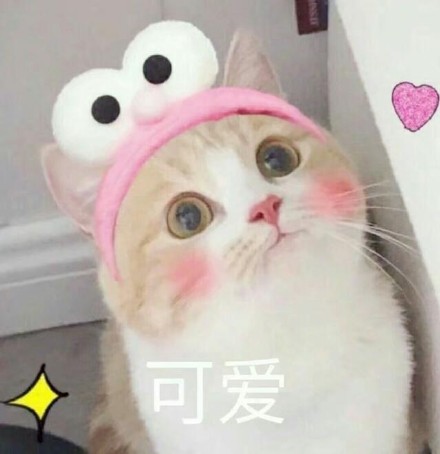 铲屎官集合！这套猫咪表情包太好吸了