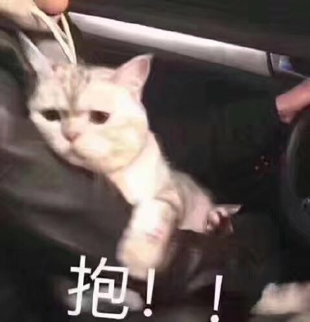 2月26日的表情包原图合集来啦