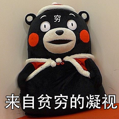 超实用熊本熊表情包合集整理