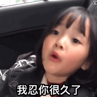 权律二实用动图表情包合集