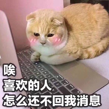超治愈！这组软萌猫咪表情包太适合聊天斗图啦
