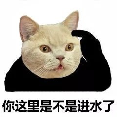 救命！这套猫咪头表情包也太萌了吧