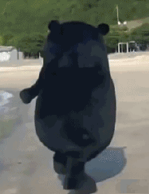 整活必备！熊本熊搞怪动图合集