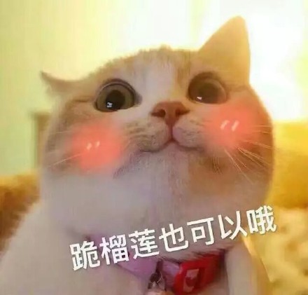 情侣互动表情包：老公，不举高高么
