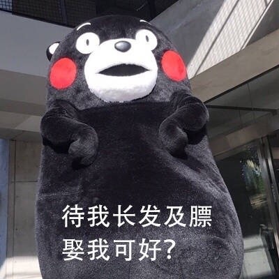 熊本熊版“月半仙女”表情包来啦！
