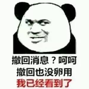 专为爱撤回消息的你准备的表情包合集