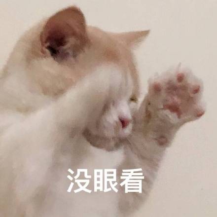 5月3日热门斗图表情包合集来啦