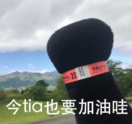 熊本熊拳头表情包合集，斗图必备！
