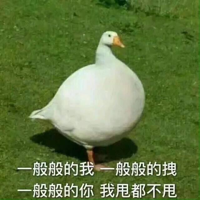 萌趣肥鹅表情包合集来啦