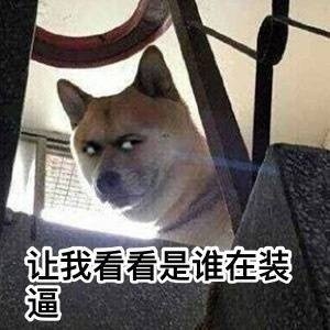 超实用柴犬Doge微信表情包合集