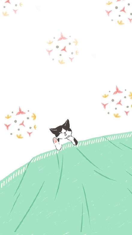 猫咪手机壁纸合集来啦