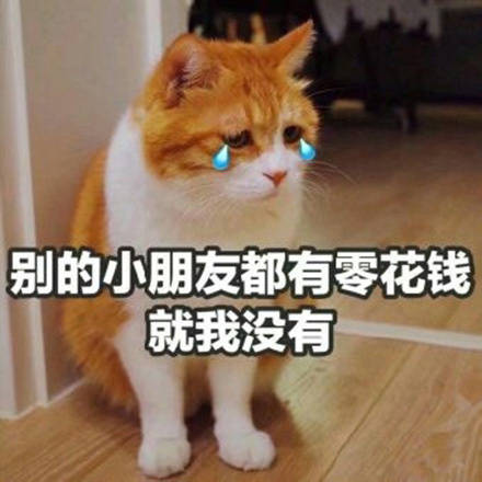 找爸妈要生活费不用愁！这套要钱表情包直接拿去用